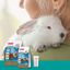 Beaphar Care + ração para coelhos Jr super premium, , large Indicador imagem número 4