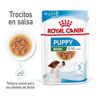Royal Canin Mini Puppy saqueta em molho x 85 g
