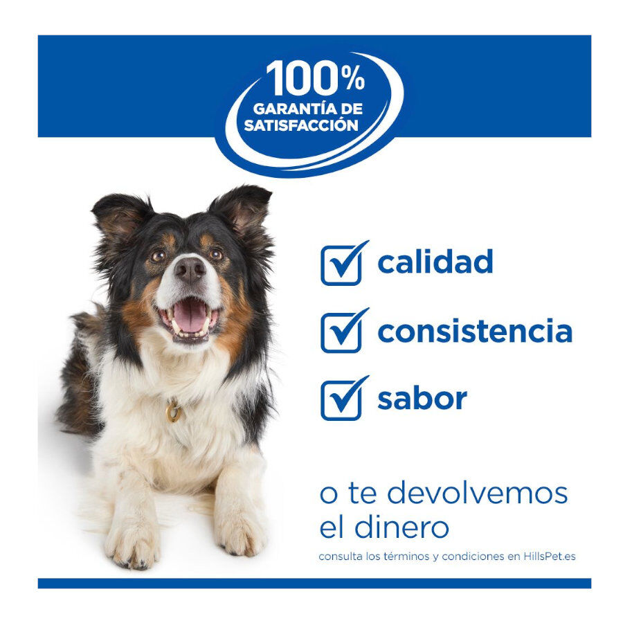 Hill's Science Plan Hipoalerg&eacute;nico Small e Mini Salm&atilde;o ra&ccedil;&atilde;o para c&atilde;es , , large Imagem n&uacute;mero 9