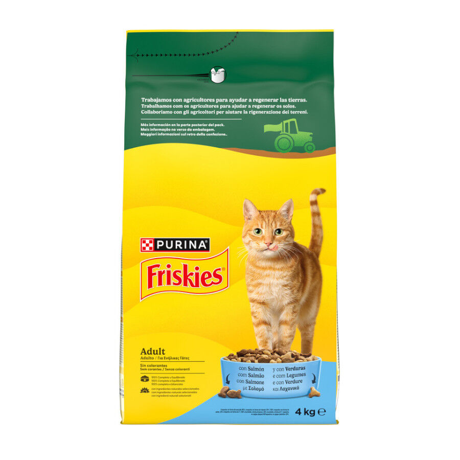 4 kg Purina Friskies Ra&ccedil;&atilde;o para Gato Adulto com Salm&atilde;o e Legumes, , large Imagem n&uacute;mero 1