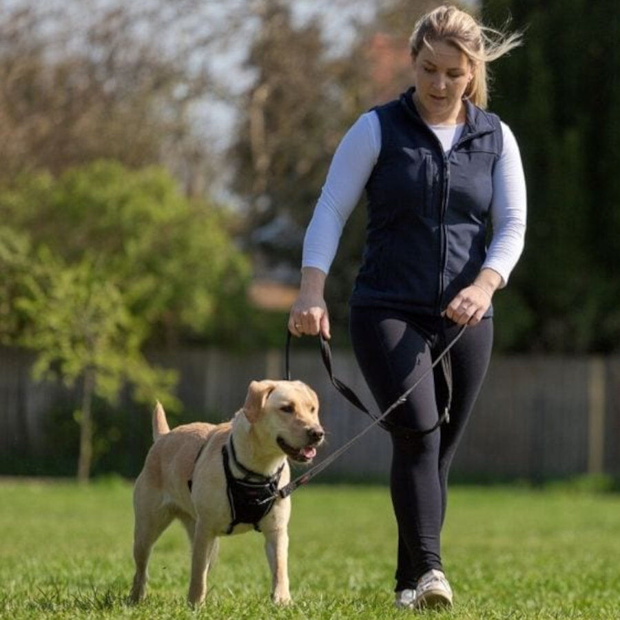 Halti Trela de treino preta para c&atilde;es, , large Imagem n&uacute;mero 3
