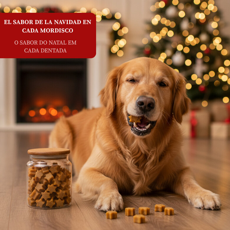 70 g Wonder Christmas Biscoitos de Natal para cães,  Imagem número 4 70 g Wonder Christmas Biscoitos de Natal para cães, , large Imagem número 4