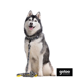 Gotoo Trela estampada zebra para cães