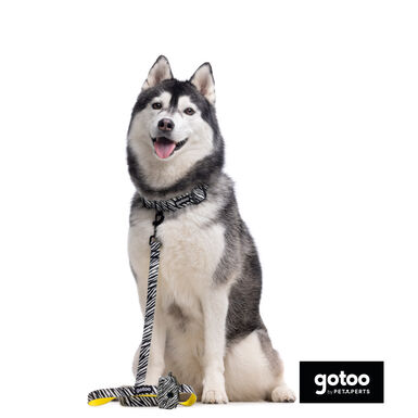 Gotoo Trela estampada zebra para cães