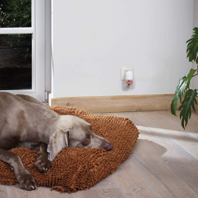 Beaphar CaniComfort difusor de odor calmante e recarga para cães, , large image number null