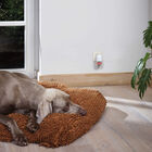 Beaphar CaniComfort difusor de odor calmante e recarga para cães, , large image number null