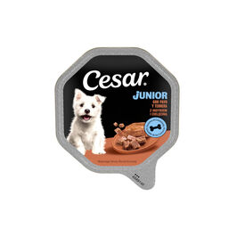 Cesar Peru e Vitela Terrina em Geleia para Cachorros