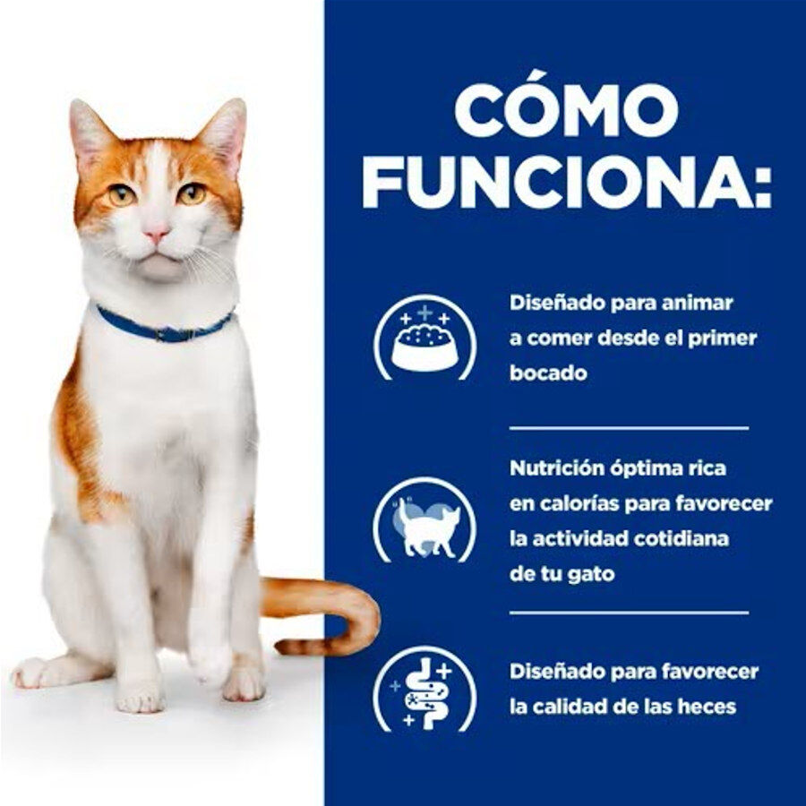 1.5 kg Hill's Prescription Diet ON-Care Frango ra&ccedil;&atilde;o para gatos, , large Imagem n&uacute;mero 3