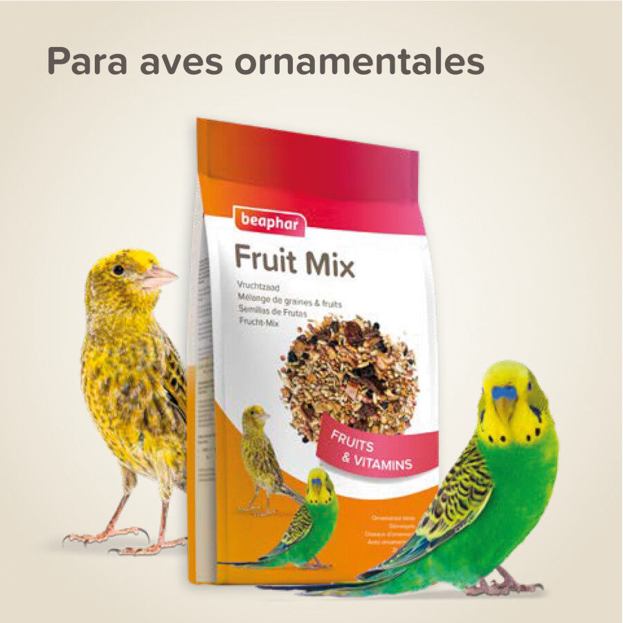 Beaphar sementes de frutas para p&aacute;ssaros, , large Imagem n&uacute;mero 5