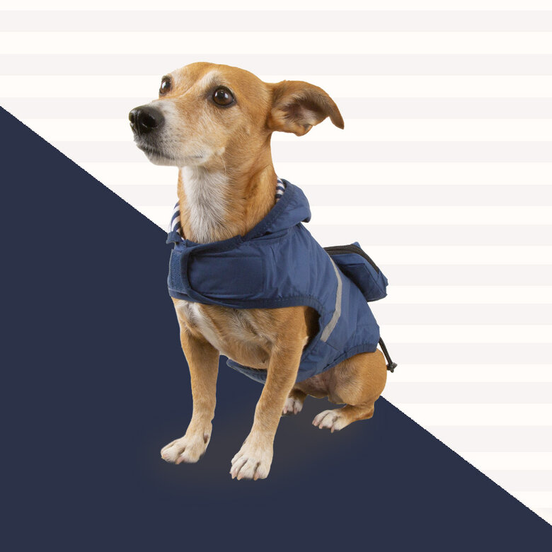 Outech Capa de chuva azul-marinho com bolso para cães,  Imagem número 3 Outech Capa de chuva azul-marinho com bolso para cães, , large Imagem número 3