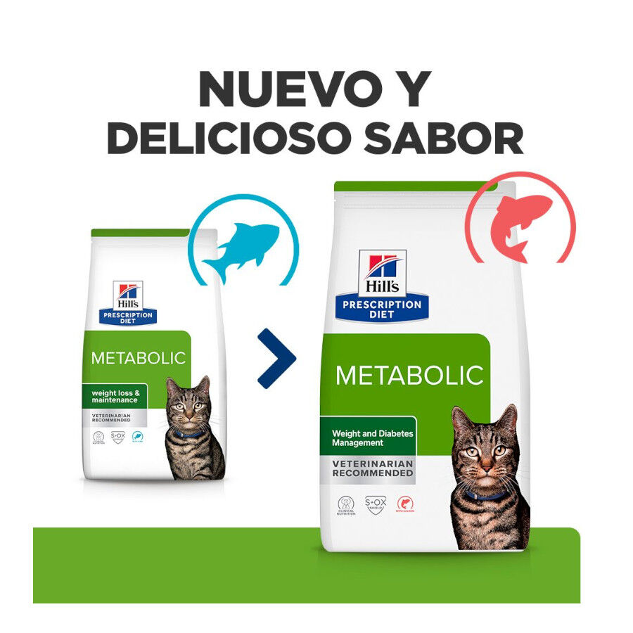 1.5 kg Hill's Prescription Diet Metabolic Atum ra&ccedil;&atilde;o para gatos, , large Imagem n&uacute;mero 2