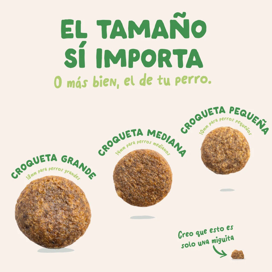 3 kg Edgard & Cooper Pienso Cordero para perros adultos mini, , large Imagem n&uacute;mero 4