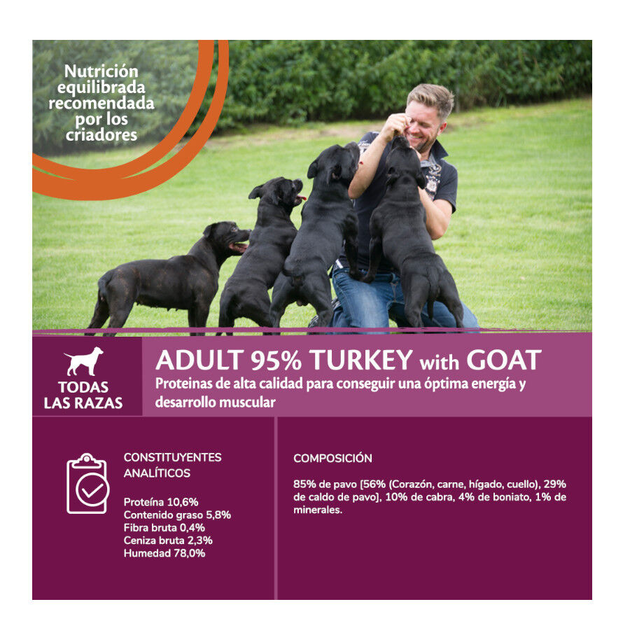 400 g Wellness Core peru e cabra lata para c&atilde;es, , large Imagem n&uacute;mero 3