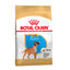 Royal Canin Puppy Boxer ração para cães, , large Indicador imagem número 1