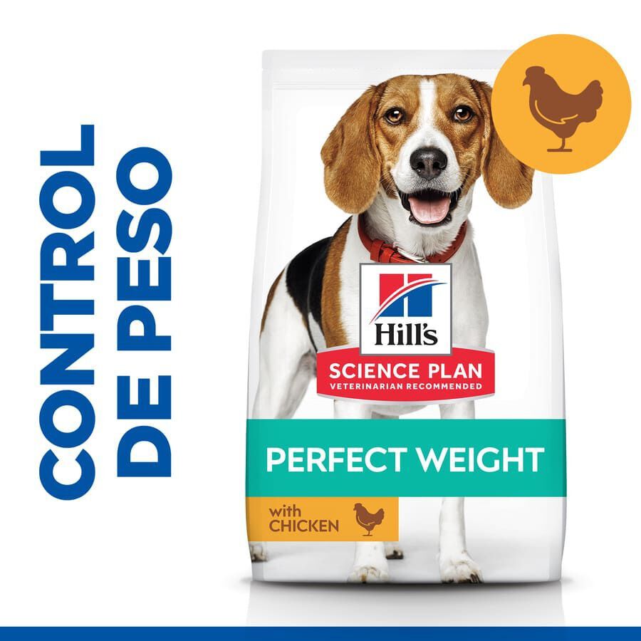 12 kg Hill's Science Plan Perfect Weight Adult Medium Frango ra&ccedil;&atilde;o para c&atilde;es, , large Imagem n&uacute;mero 2