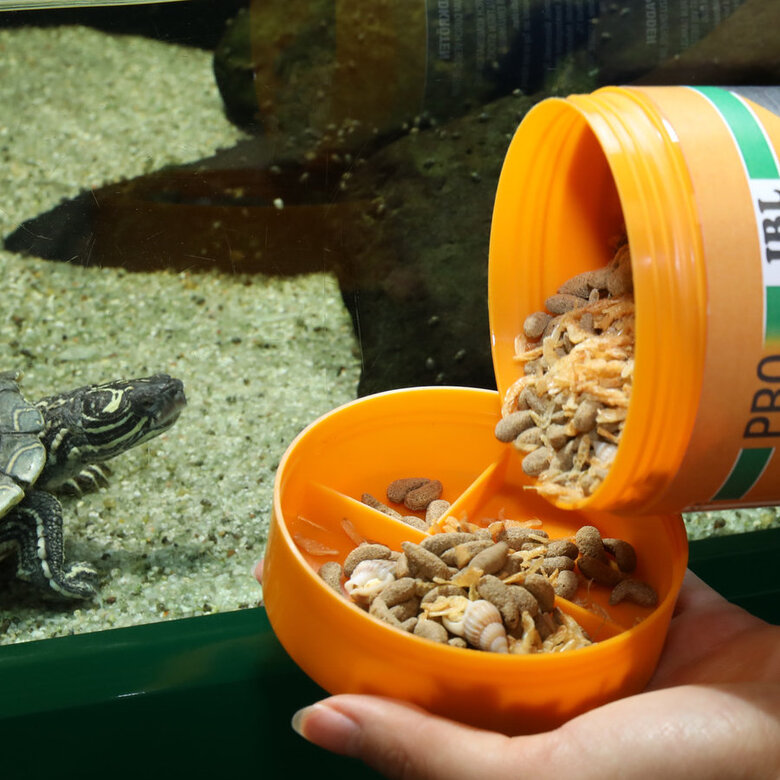 JBL Agil Sticks para tartarugas,  Imagem número 3 JBL Agil Sticks para tartarugas, , large Imagem número 3