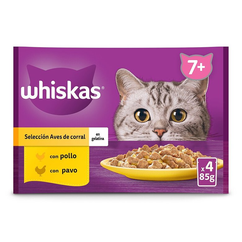 4 saquetas x 85 g Whiskas Aves Geleia em Saqueta para Gatos Senior,  Imagem número 1 4 saquetas x 85 g Whiskas Aves Geleia em Saqueta para Gatos Senior, , large Imagem número 1