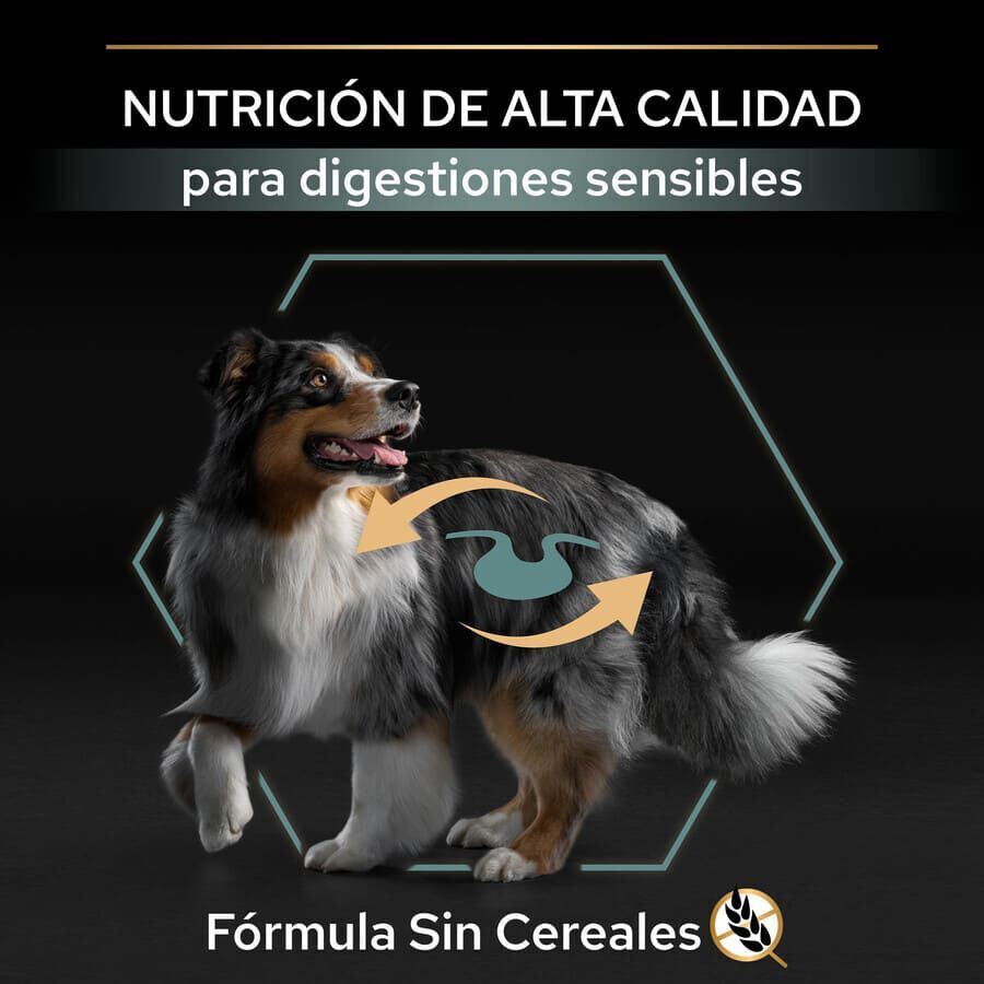 12 kg Pro Plan Sensitive Digestion Medium & Large Ra&ccedil;&atilde;o de peru para c&atilde;es, , large Imagem n&uacute;mero 8