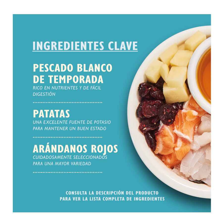 2 kg Lily's Kitchen Feline Adult peixe, , large Imagem n&uacute;mero 2