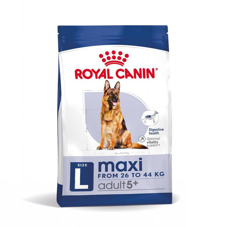 15 kg Royal Canin Maxi Adult 5+ ra&ccedil;&atilde;o para c&atilde;es seniores de ra&ccedil;a grande, , large Imagem n&uacute;mero 5