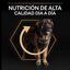 16.5 kg (14 + 2.5 kg grátis!) Pro Plan Large Robust Adult ração para cães, , large Indicador imagem número 8