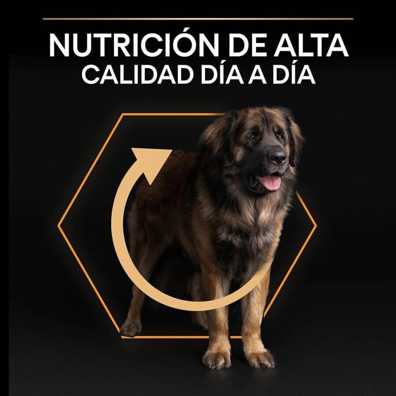 16.5 kg (14 + 2.5 kg grátis!) Pro Plan Large Robust Adult ração para cães,  Imagem número 8 16.5 kg (14 + 2.5 kg grátis!) Pro Plan Large Robust Adult ração para cães, , large Imagem número 8