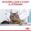 85 g Royal Canin Nutrition Appetite Control Care geleia para gatos, , large Indicador imagem número 8