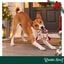 Wonder Christmas Corda em Forma de Rebu&ccedil;ado Brinquedo para c&atilde;es, , large Indicador imagem n&uacute;mero 2
