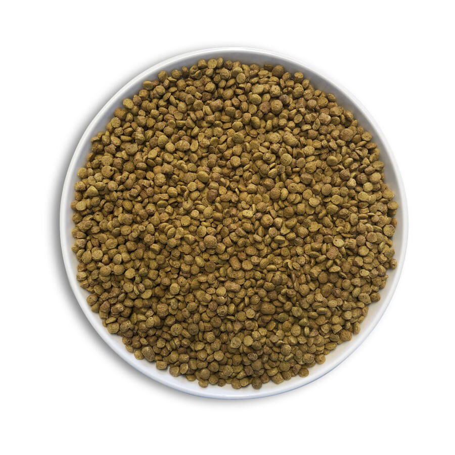 1 kg Cunipic Alpha Pro Medium Sized Birds Natural Blend Comida para Papagaios, , large Imagem n&uacute;mero 3