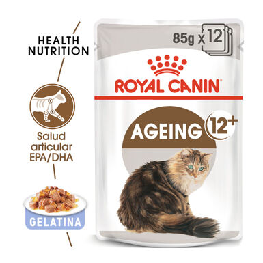 Royal Canin Ageing 12+ gelatina saquetas para gatos