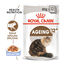 48 saquetas x 85 g Royal Canin Ageing 12+ alimento húmido com molho em saquetas para gatos Pack poupança!, , large Indicador imagem número 2