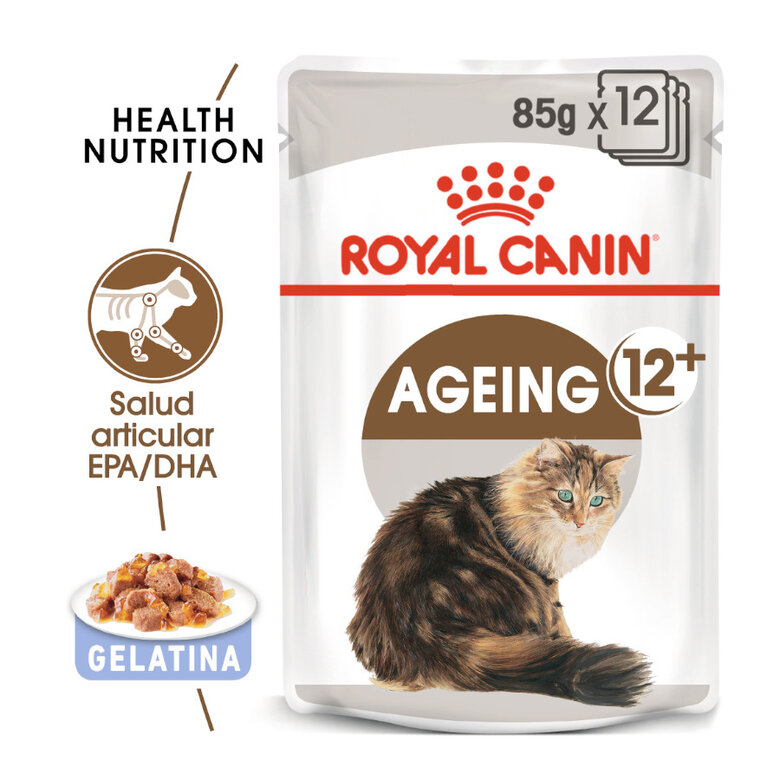 Royal Canin Ageing 12+ gelatina saquetas para gatos, , large image number null