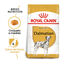 2 x 12 kg Royal Canin Adult Dálmata ração para cães Pack poupança!, , large Indicador imagem número 2