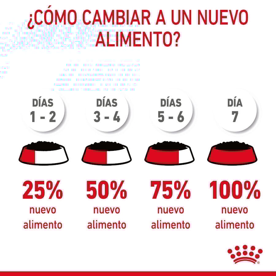 85 g Royal Canin Urinary Care Saquetas em Gelatina para Gatos, , large Imagem n&uacute;mero 4