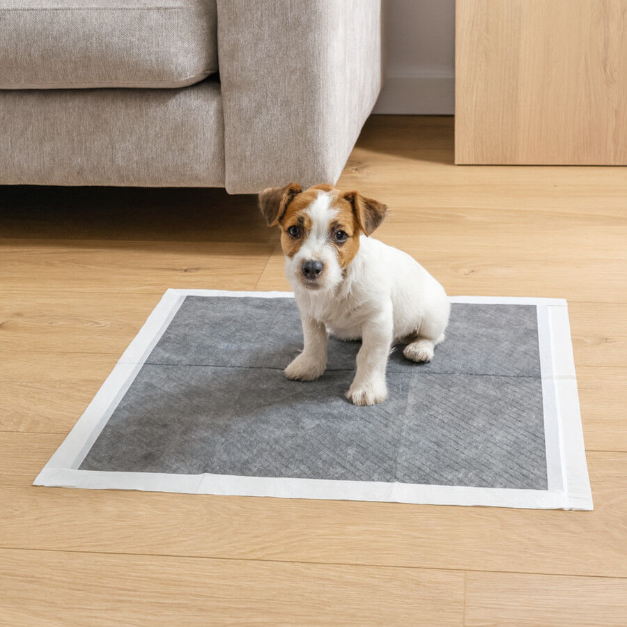 Nice Care Resguardos com carb&atilde;o ativado para c&atilde;es, , large Imagem n&uacute;mero 1