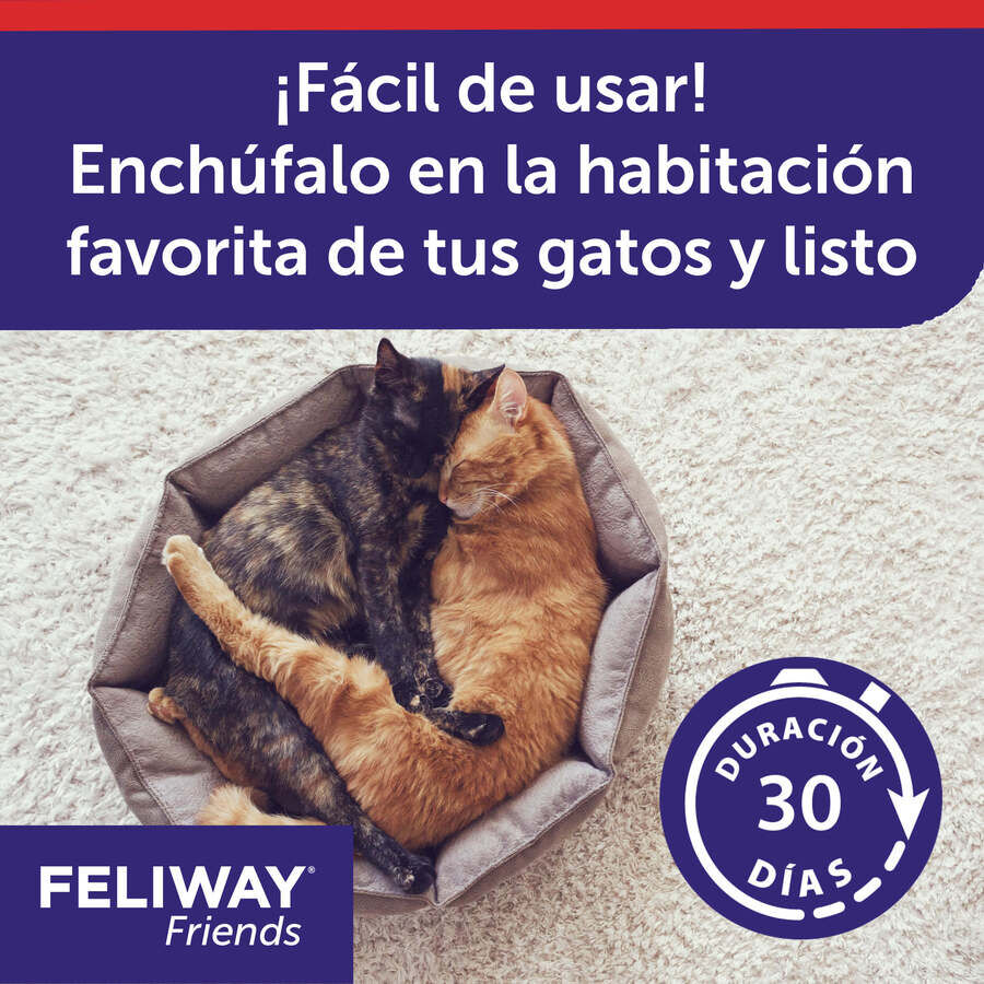 Feliway Friends Difusor + Recarga para gatos, , large Imagem n&uacute;mero 4