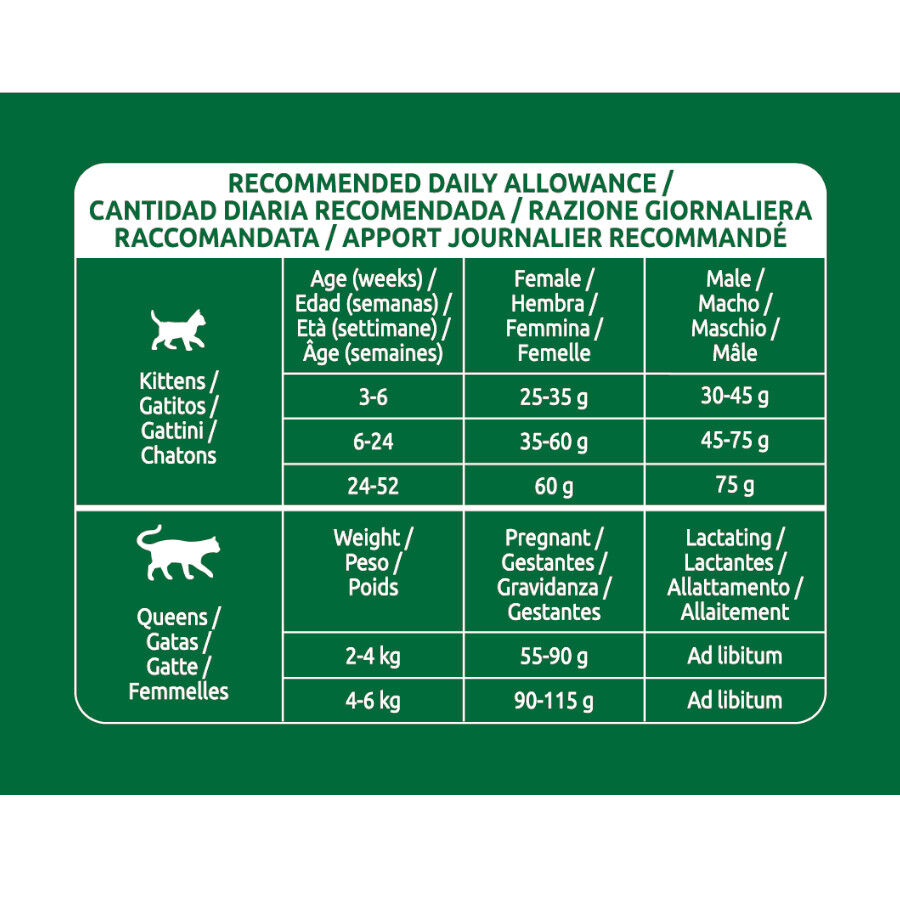 1.5 kg Libra Kitten Frango ra&ccedil;&atilde;o para gatos, , large Imagem n&uacute;mero 4