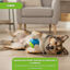 Tootoy! Chase Bolas dos 5 sentidos m&eacute;dia para c&atilde;es, , large Indicador imagem n&uacute;mero 7