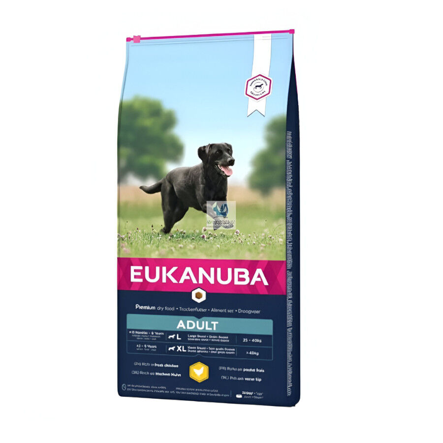 15 kg Eukanuba Adult Large Breed Frango ra&ccedil;&atilde;o para c&atilde;es, , large Imagem n&uacute;mero 3