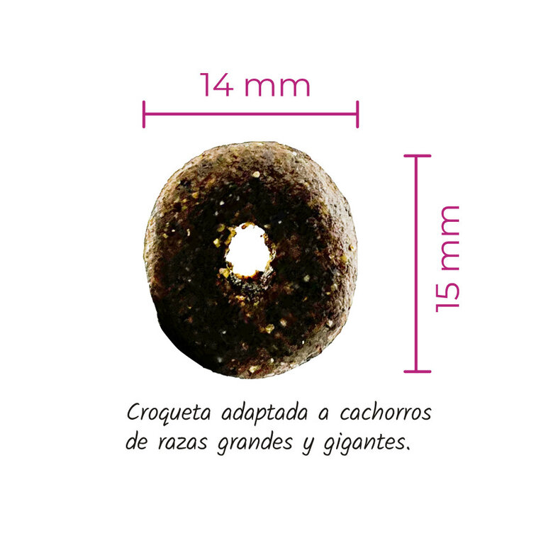 15 kg Lenda Original Maxi Puppy Ração de frango para cachorros,  Imagem número 2 15 kg Lenda Original Maxi Puppy Ração de frango para cachorros, , large Imagem número 2