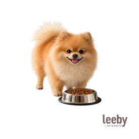 Leeby Comedouro de Metal com Anel de Silicone para c&atilde;es