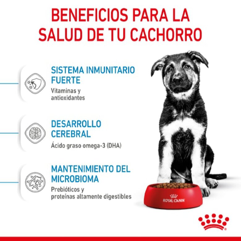 Royal Canin Puppy Maxi ração para cães, , large image number null