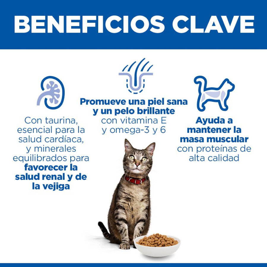 10 kg Hill's Adult Science Plan Frango ra&ccedil;&atilde;o para gatos, , large Imagem n&uacute;mero 4