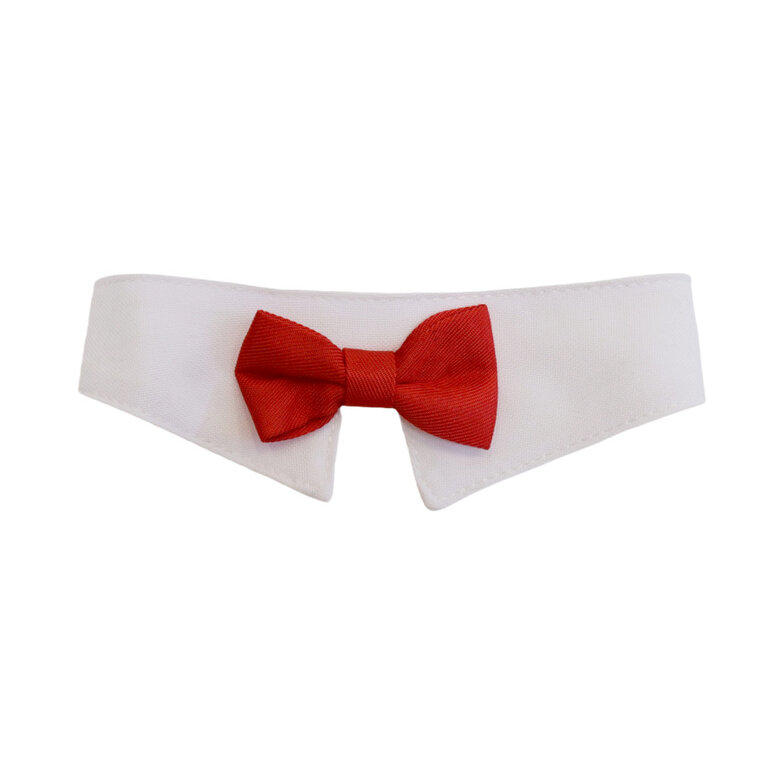 Gotoo Laço vermelho para gatos,  Imagem número 1 Gotoo Laço vermelho para gatos, , large Imagem número 1