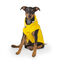 Outech Fisher Capa de chuva amarela para cães, , large Indicador imagem número 1