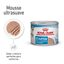 195 g Royal Canin Starter Mommy & Baby mousse latas para cães, , large Indicador imagem número 1