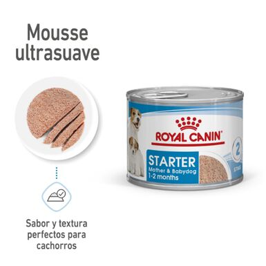 Royal Canin Starter Mommy & Baby mousse latas para cães