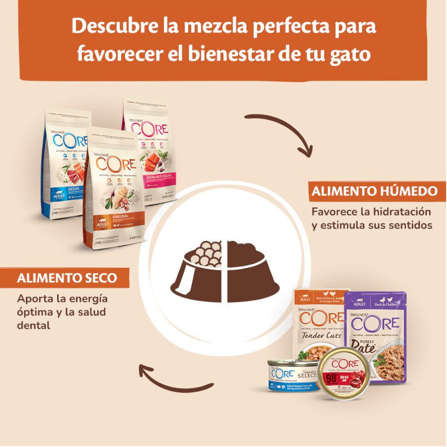  85 g Wellness Core Tender Cuts frango e peru em molho saquetas para gatos, , large Imagem n&uacute;mero 5