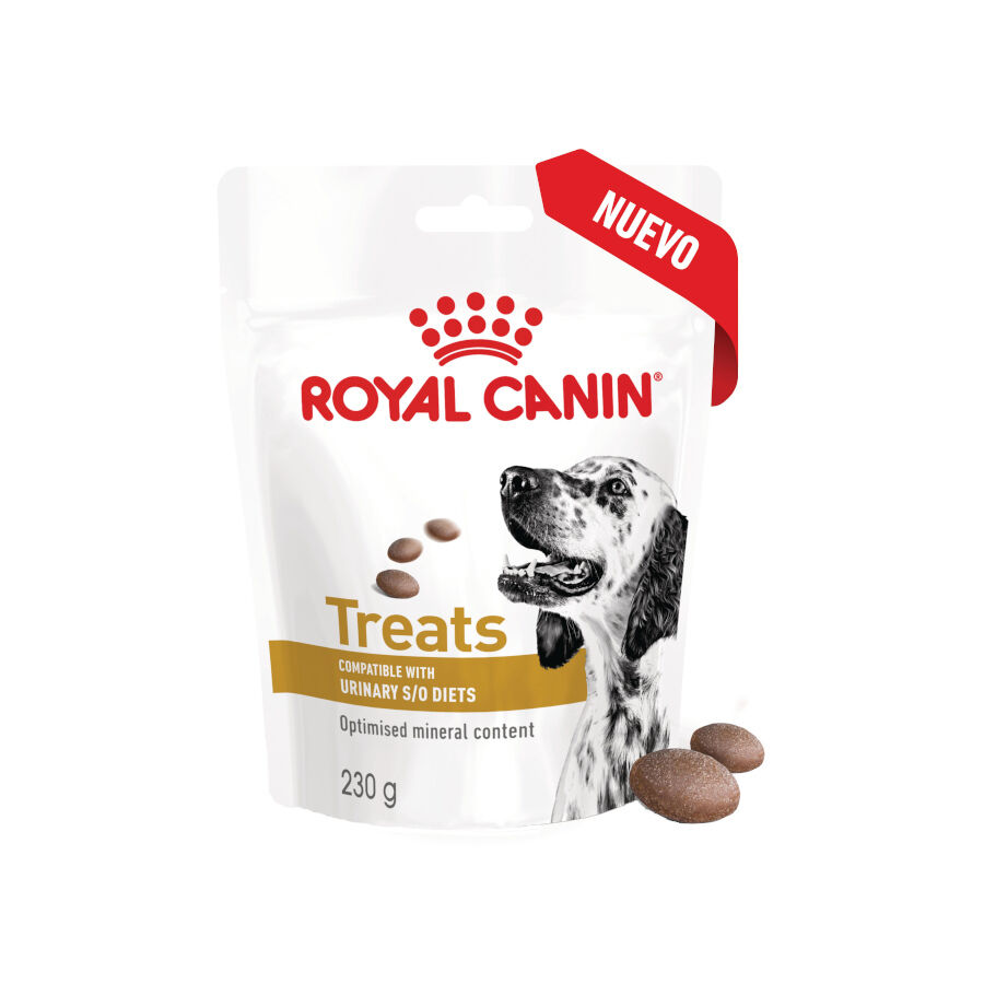 230 g Royal Canin Treats Urinary Snacks para c&atilde;es, , large Imagem n&uacute;mero 2