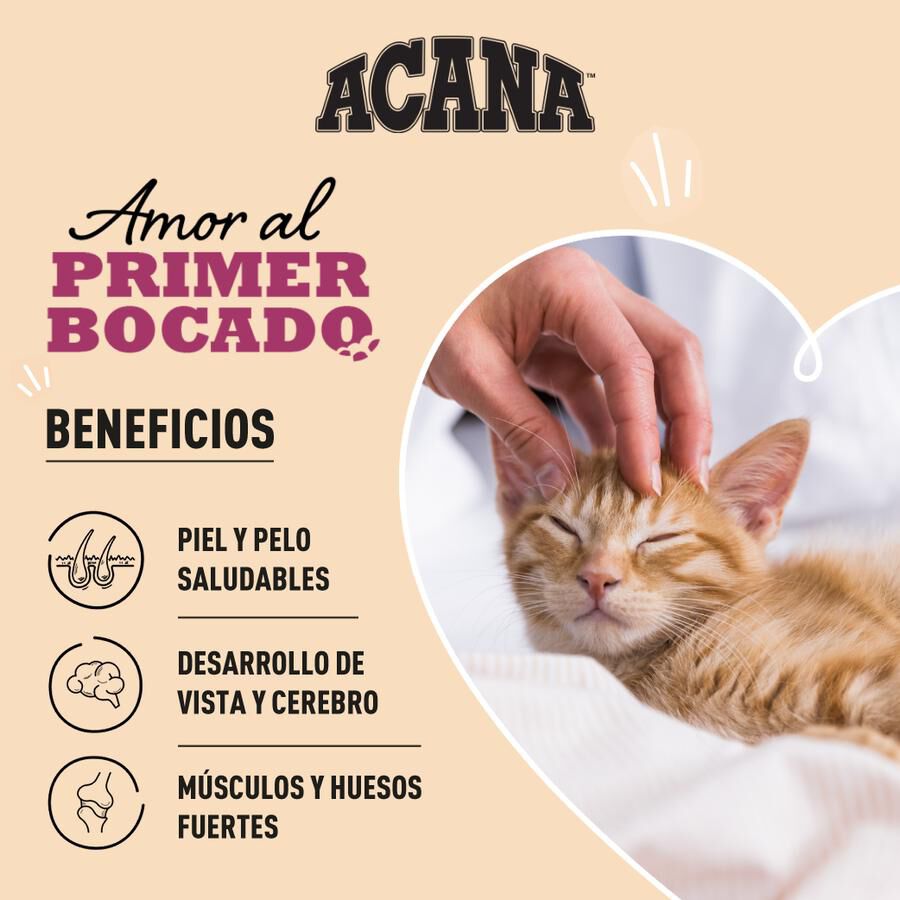 1.8 kg Acana First Feast ra&ccedil;&atilde;o para gatitos, , large Imagem n&uacute;mero 2